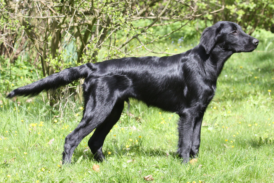 Yukon
