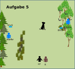 Aufgabe 5
